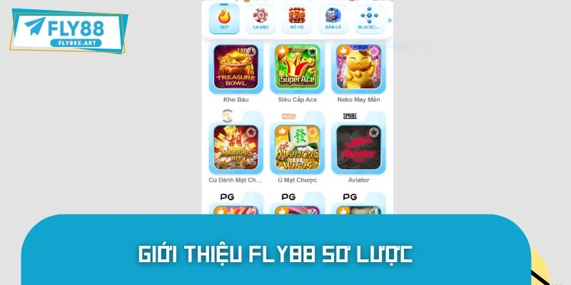 Khái quát sơ lược về sảnh chơi FLY88