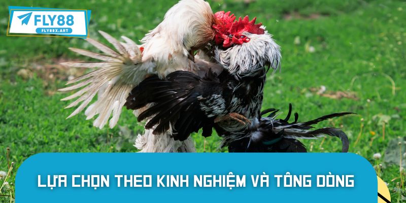 Chọn giống theo tông dòng nổi tiếng