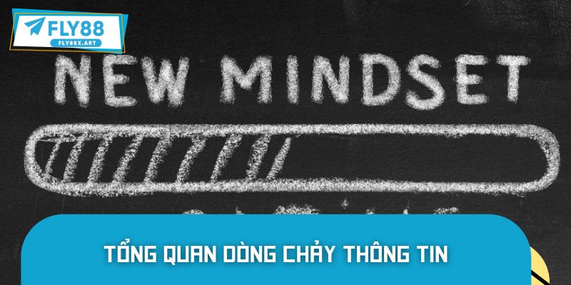 Vì sao tin tức FLY88 trở thành điểm đến của nhiều người đọc