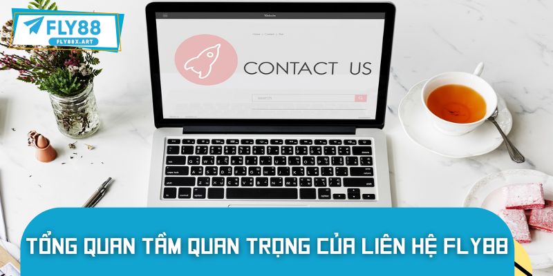 Vai trò quan trọng của kênh liên hệ FLY88 với khách hàng